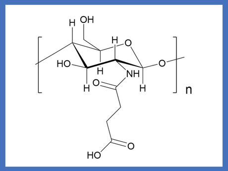 Succinyl Chitosan.jpg