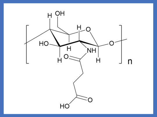 Succinyl Chitosan.jpg
