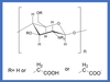 Carboxymethyl Chitosan(Cosmetic Grade)