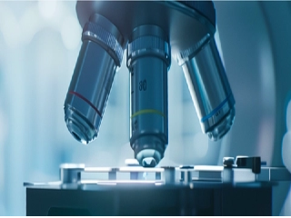 The Anti-Inflammatory Mechanism of Azelaic Acid: Why It Calms Sensitive Skin And Redness