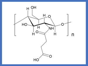 Succinyl chitosan