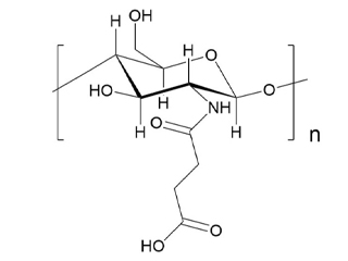 Succinyl Chitosan.jpg