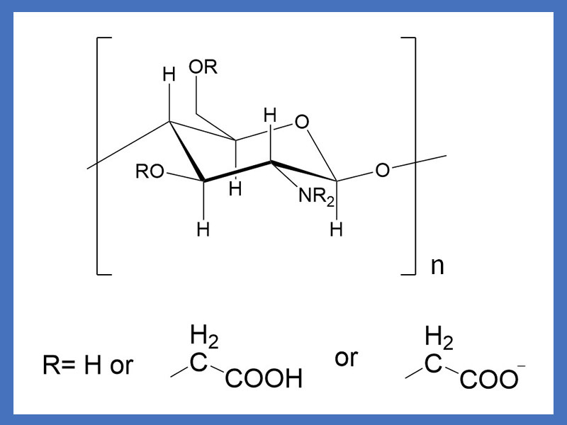 Carboxymethyl Chitosan for Absorbent Dressing Systems