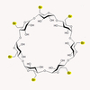 Heptakis-(6-bromo-6-deoxy)-β-Cyclodextrin