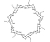 Iodine Cyclodextrin